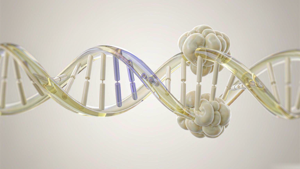 A section of the DNA double helix winding around histone spools, with three consecutive mismatched base pairs kinked out of the regular ladder and shifting to violet-blue