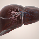 Immunotherapy for Liver Cancer: What Determines the Treatment Plan?