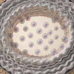 Immunotherapy for Pancreatic Cancer: Why Does It Work for So Few Patients?